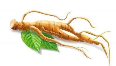 Ginseng pour améliorer la puissance après 50 ans